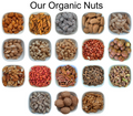 Dried Cranberries – Natural Organic Premium-quality + Free sample!